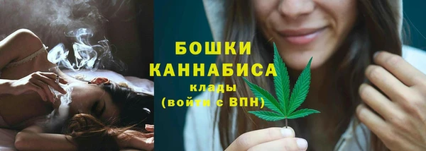 ГАЛЛЮЦИНОГЕННЫЕ ГРИБЫ Дмитриев