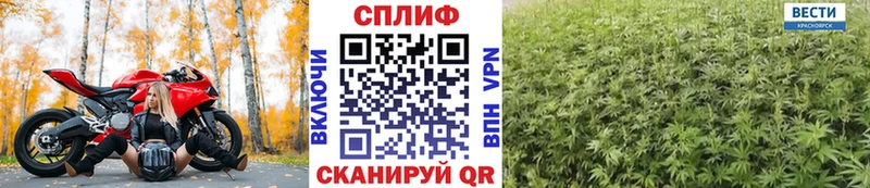 цены наркотик  Приозерск  Каннабис MAZAR 